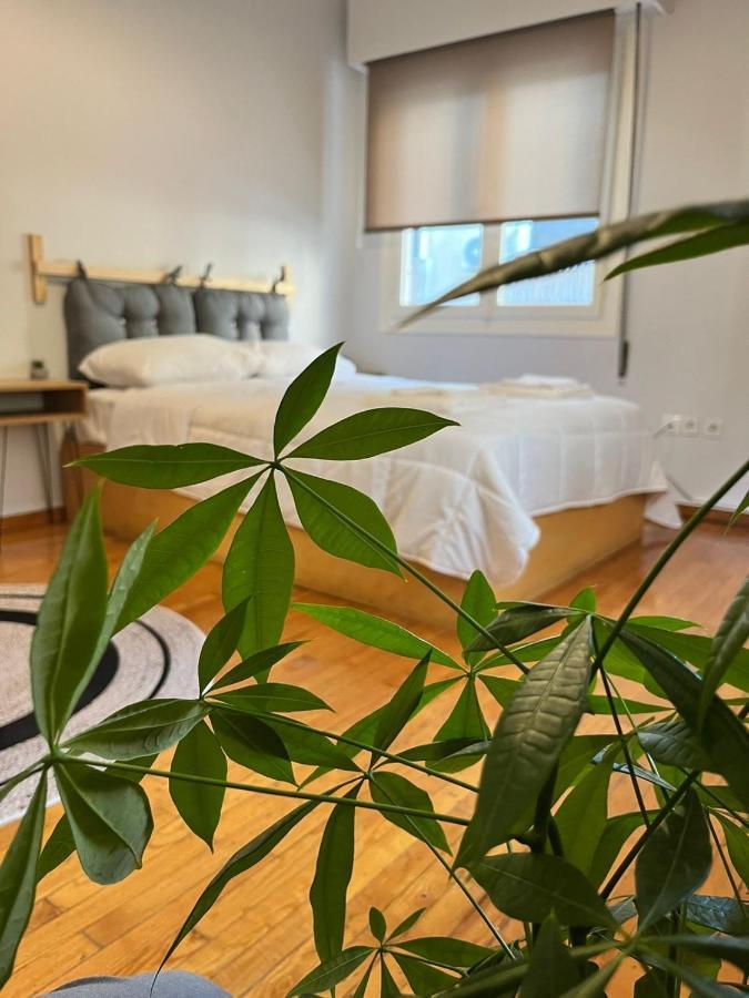 Exarcheia Urban Studio Apartment أثينا المظهر الخارجي الصورة